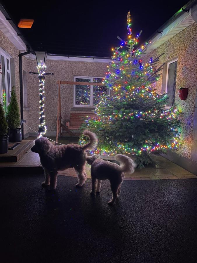 Annie Dee'S Guest Accommodation Ballygowan Buitenkant foto